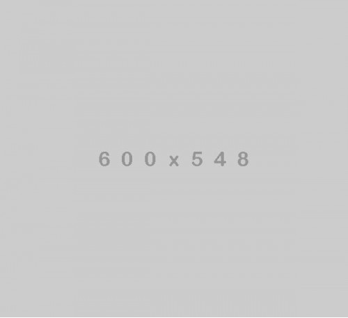 Chamomile Bloom Herbal Tea